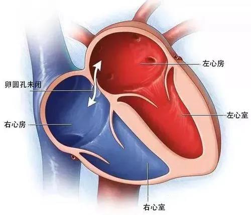 圖片7.jpg 圖片7.jpg