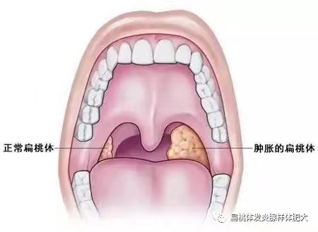 5ccded77c5e091e39ccab929a5a85a3.jpg 5ccded77c5e091e39ccab929a5a85a3.jpg