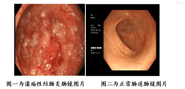 圖片28.png 圖片28.png